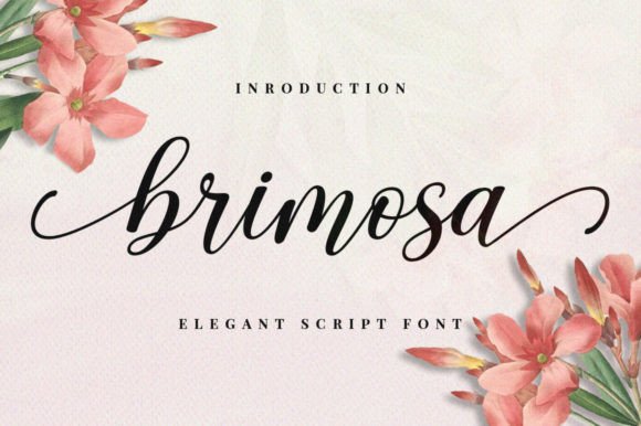 Brimosa: A Modern Script Font for Elegant Editorial Design