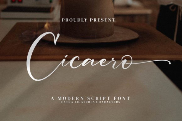 Cicaero: A Designer's Real-World Review for Branding