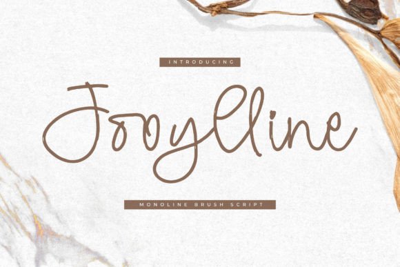 Jooylline: The Monoline Brush Script That Elevates Campaign Visuals