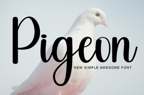 Pigeon: The Handwritten Typeface That Elevates Your Craft Brand