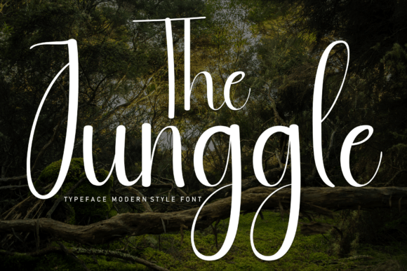 The Junggle Font: A Handwritten Typeface for Modern Editorial Design