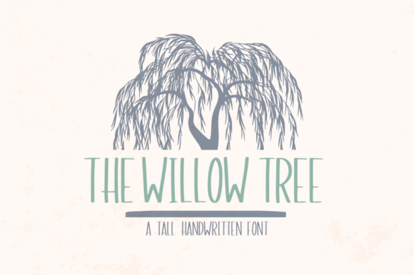 Why The Willow Tree Became the Heart of My Latest Brand Identity